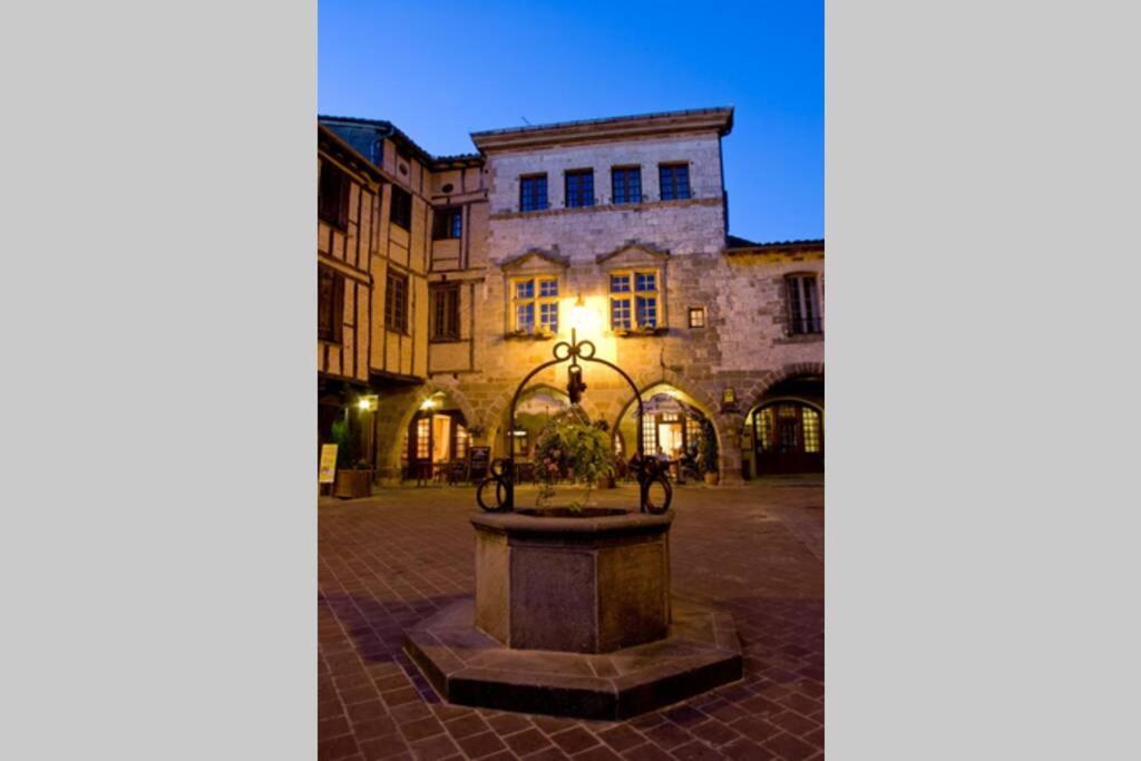 Domaine De La Durantie Duplex Vieux Chateau Castelnau-de-Montmiral Экстерьер фото