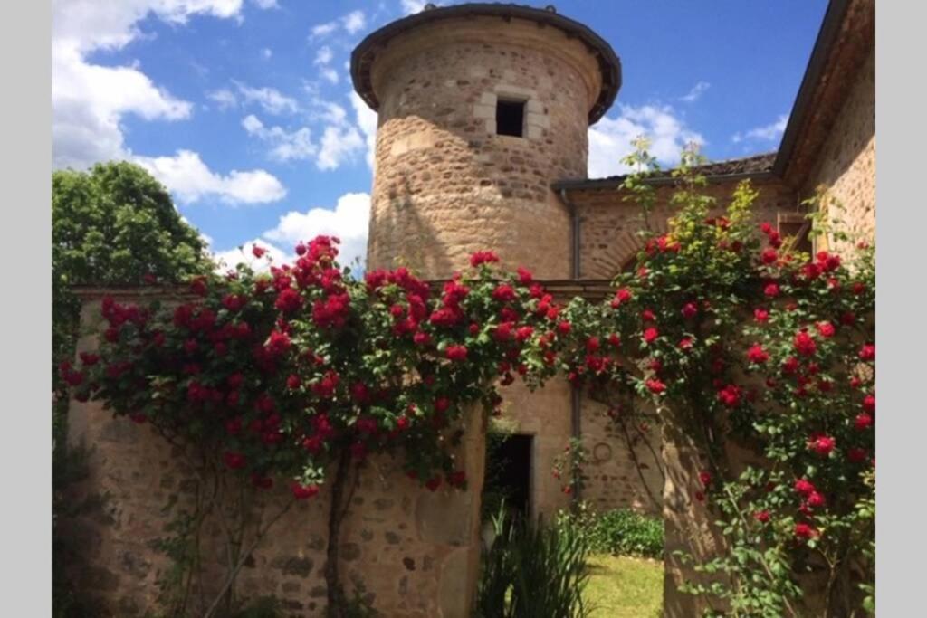 Domaine De La Durantie Duplex Vieux Chateau Castelnau-de-Montmiral Экстерьер фото
